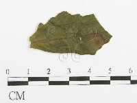 登錄號:F0019176藏品圖，第4張