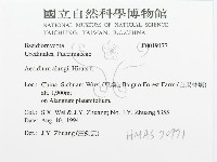 登錄號:F0019177藏品圖，第3張