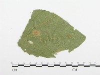 登錄號:F0019177藏品圖，第4張
