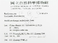 登錄號:F0019178藏品圖，第3張