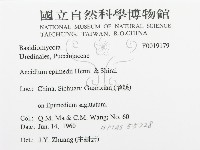 登錄號:F0019179藏品圖，第3張