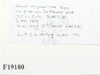登錄號:F0019180藏品圖，第2張