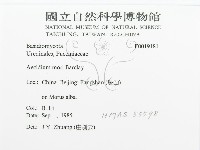 登錄號:F0019181藏品圖，第3張