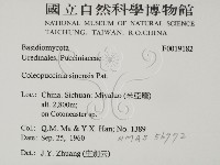 登錄號:F0019182藏品圖，第2張