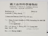 館號:F0019183藏品圖，第2張