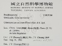 登錄號:F0019184藏品圖，第2張