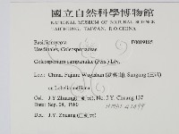 登錄號:F0019185藏品圖，第2張