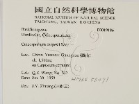登錄號:F0019186藏品圖，第2張