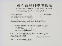 登錄號:F0019187藏品圖，第2張