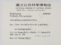 登錄號:F0019188藏品圖，第2張