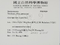登錄號:F0019189藏品圖，第2張