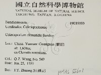 登錄號:F0019190藏品圖，第2張