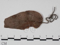 登錄號:F0019190藏品圖，第1張