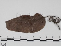 登錄號:F0019190藏品圖，第3張