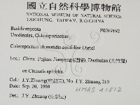 登錄號:F0019192藏品圖，第2張