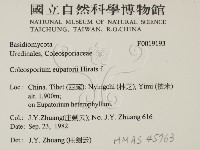 登錄號:F0019193藏品圖，第2張