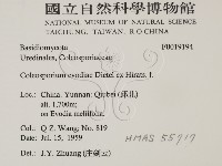 登錄號:F0019194藏品圖，第2張