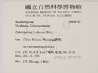 登錄號:F0019196藏品圖，第2張