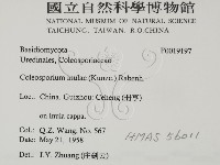 登錄號:F0019197藏品圖，第2張