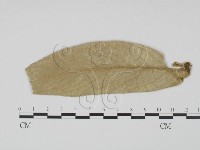 登錄號:F0019197藏品圖，第1張