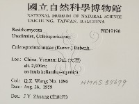 登錄號:F0019198藏品圖，第2張