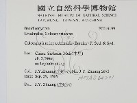登錄號:F0019199藏品圖，第2張