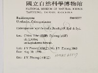登錄號:F0019200藏品圖，第2張