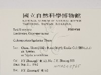 登錄號:F0019201藏品圖，第2張