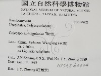登錄號:F0019202藏品圖，第2張