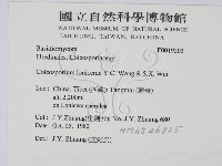 館號:F0019203藏品圖，第2張