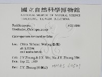 登錄號:F0019204藏品圖，第2張