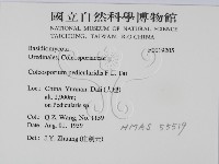 登錄號:F0019205藏品圖，第2張