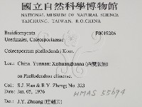 登錄號:F0019206藏品圖，第2張