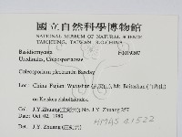 登錄號:F0019207藏品圖，第2張