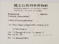 館號:F0019208藏品圖，第2張