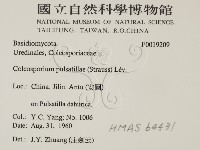 登錄號:F0019209藏品圖，第2張