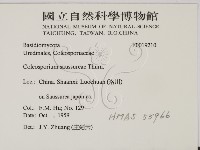 登錄號:F0019210藏品圖，第2張