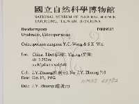 登錄號:F0019213藏品圖，第2張