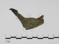 登錄號:F0019213藏品圖，第1張