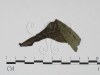 登錄號:F0019213藏品圖，第3張
