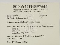 登錄號:F0019214藏品圖，第2張