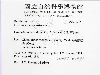 登錄號:F0019215藏品圖，第2張