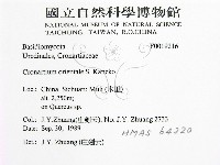 登錄號:F0019216藏品圖，第2張