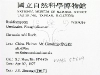 登錄號:F0019219藏品圖，第2張