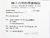 登錄號:F0019220藏品圖，第2張