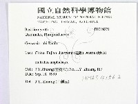 登錄號:F0019221藏品圖，第2張