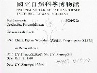 登錄號:F0019222藏品圖，第2張