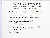 登錄號:F0019224藏品圖，第2張