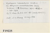 登錄號:F0019225藏品圖，第2張