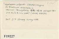 登錄號:F0019227藏品圖，第2張